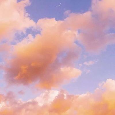 BSport·APP在线登录下载手机版